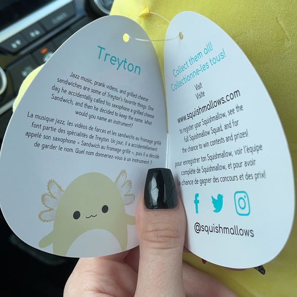 treyton squishmallow 12